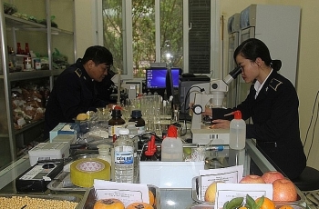 Sửa quy định thủ tục kiểm dịch thực vật xuất, nhập khẩu