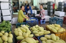 Cần Thơ: Nâng tầm đặc sản địa phương