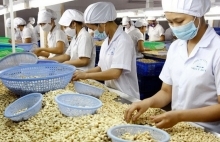 Phát triển công nghiệp chế biến: Nâng cao chuỗi giá trị nông sản