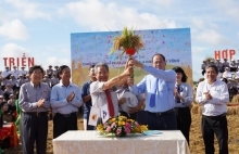 Ngành gạo tận dụng hiệu quả Hiệp định EVFTA