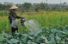 Cơ cấu lại nông nghiệp Thủ đô