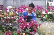 Hà Nội: Hướng đi hiệu quả của hợp tác xã nông nghiệp