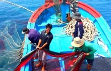 Vietnam strives to avoid  EU ‘red card’ over illegal fishing