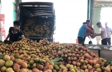 Vietnam seeks new markets for farm produce