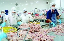 Mekong Delta  provinces experience  export growth