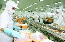 Seafood  enterprises fishing for new orders