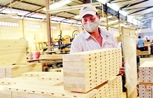 Pandemic shaves off up to  80 percent in orders for  timber, refined wood