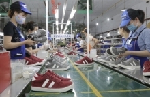 Vietnamese, US footwear firms to discuss trade amid pandemic