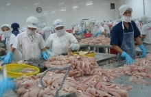 Compliance costs challenge EU market access