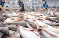 Hoa Kỳ công bố thuế chống bán phá giá cá tra lần thứ 14