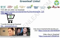 Bộ Công Thương: Người dân không tham gia bán hàng đa cấp qua hệ thống Greenleafgroup.cn