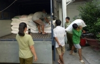 Chặn đứng 7,5 tấn đường cát nhập lậu tại An Giang