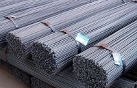 Malaysia và Kazakhstan bị loại bỏ khỏi danh sách được loại trừ áp dụng biện pháp tự vệ đối với thép dài