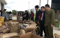 Bình Định: Tiêu hủy tang vật vi phạm hành chính trị giá hơn 830 triệu đồng