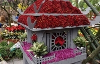 Lễ hội hoa Anh đào Nhật Bản - Hà Nội kéo dài thêm 1 ngày