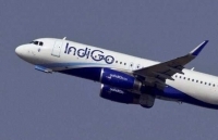 Hãng hàng không lớn nhất Ấn Độ khai trương đường bay thẳng tới Hà Nội