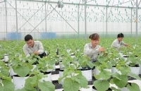 The PAN Group: Xác lập dấu mốc mới về doanh thu và tổng tài sản