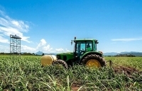 Chính sách cho ngành mía đường: Bài toán khó giải? Kỳ 2: Chính sách tại các nước khác trên thế giới