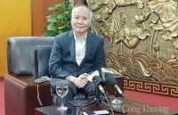 Điều hành xuất khẩu gạo: An ninh lương thực đặt lên hàng đầu