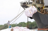 Điều hành xuất khẩu gạo: Bộ Công Thương thực hiện nghiêm túc chỉ đạo của Thủ tướng Chính phủ