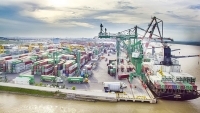 Bộ Công Thương sẽ xem xét lại quy định đăng ký sử dụng MSMV đối với hàng xuất khẩu