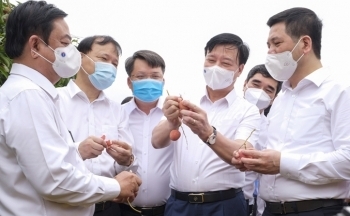 Tiêu thụ nông sản: Thị trường nội địa phải lĩnh “ấn” tiên phong