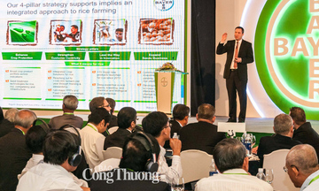 Bayer góp phần thúc đẩy hợp tác trong chuỗi giá trị lúa gạo
