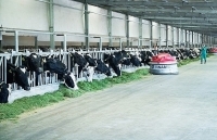 Tin đồn trên mạng xã hội: Biến tướng của truyền thông bất lương?