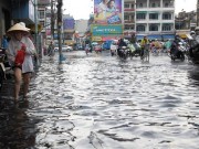 TP.HCM: Xây dựng kế hoạch ứng phó với biến đổi khí hậu giai đoạn 2016 - 2020