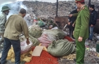 Bắc Giang: Tiêu hủy hơn 850 kg dược liệu nhập lậu