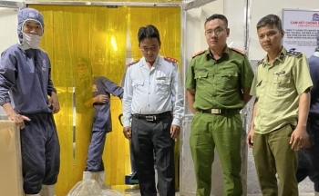 Kiên Giang: Phát hiện cơ sở kinh doanh 100kg tôm chứa tạp chất