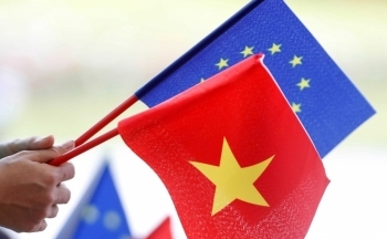 Bổ sung thêm thành viên Nhóm tư vấn trong nước Việt Nam trong EVFTA
