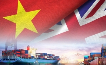 Thành lập Nhóm tư vấn trong nước Việt Nam trong khuôn khổ Chương 13 Hiệp định UKVFTA
