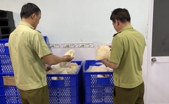 Lực lượng quản lý thị trường liên tiếp thu giữ nhiều lô găng tay không rõ nguồn gốc