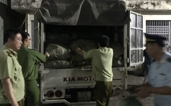 Cao Bằng: Phát hiện trên 1.800 kg nguyên liệu lá thuốc lá không rõ nguồn gốc xuất xứ