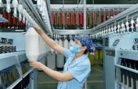 EVFTA: Cơ hội cho Việt Nam bật trở lại sau đại dịch