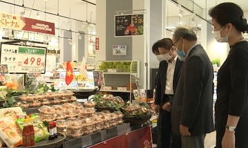 Xuất khẩu vải thiều sang Nhật Bản: Nhiều triển vọng tốt