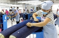 EVFTA: Điểm neo giữ thúc đẩy quan hệ Việt Nam - EU