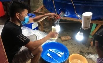 Phát hiện cơ sở sản xuất dầu gội đầu, sữa tắm, nước giặt giả mạo nhiều nhãn hiệu nổi tiếng