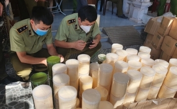 Thu giữ gần 1 tấn kem, hóa chất mỹ phẩm không rõ nguồn gốc tại Quảng Bình