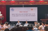 Cần đánh giá tổng thể về khái niệm doanh nghiệp Nhà nước