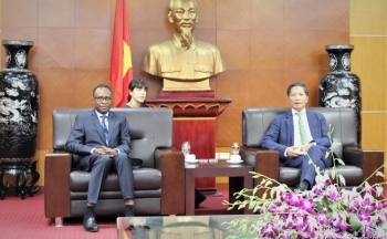 Thúc đẩy hợp tác kinh tế, thương mại với các nước nói tiếng Pháp