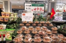 Hàng nông, thủy sản sang Nhật: Hiểu rõ thị trường, xuất khẩu hiệu quả, bền vững