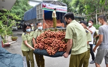 Lực lượng Quản lý thị trường kết nối, hỗ trợ tiêu thụ thành công hơn 5.000 tấn vải