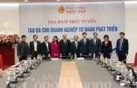 Doanh nghiệp tư nhân không muốn lớn hay không thể lớn?