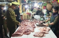 Kiểm soát chặt chống buôn bán, vận chuyển lợn, sản phẩm từ lợn nhập lậu