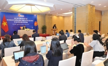 ASEAN đặt mục tiêu tỷ lệ gia tăng năng lượng tái tạo 23% vào năm 2025