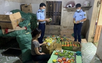 Hà Nam: Khởi tố hình sự vụ sản xuất bánh cốm giả nhãn hiệu Nguyên Ninh