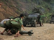 Tuần phim Kỷ niệm 70 năm Ngày thành lập Quân đội nhân dân Việt Nam