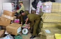 Hà Nội: Tạm giữ 800 kg thịt lợn nhập lậu